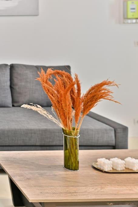 Appartement Proche Canal Saint Martin パリ エクステリア 写真